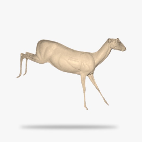 G-R3-SP-G.gif_product