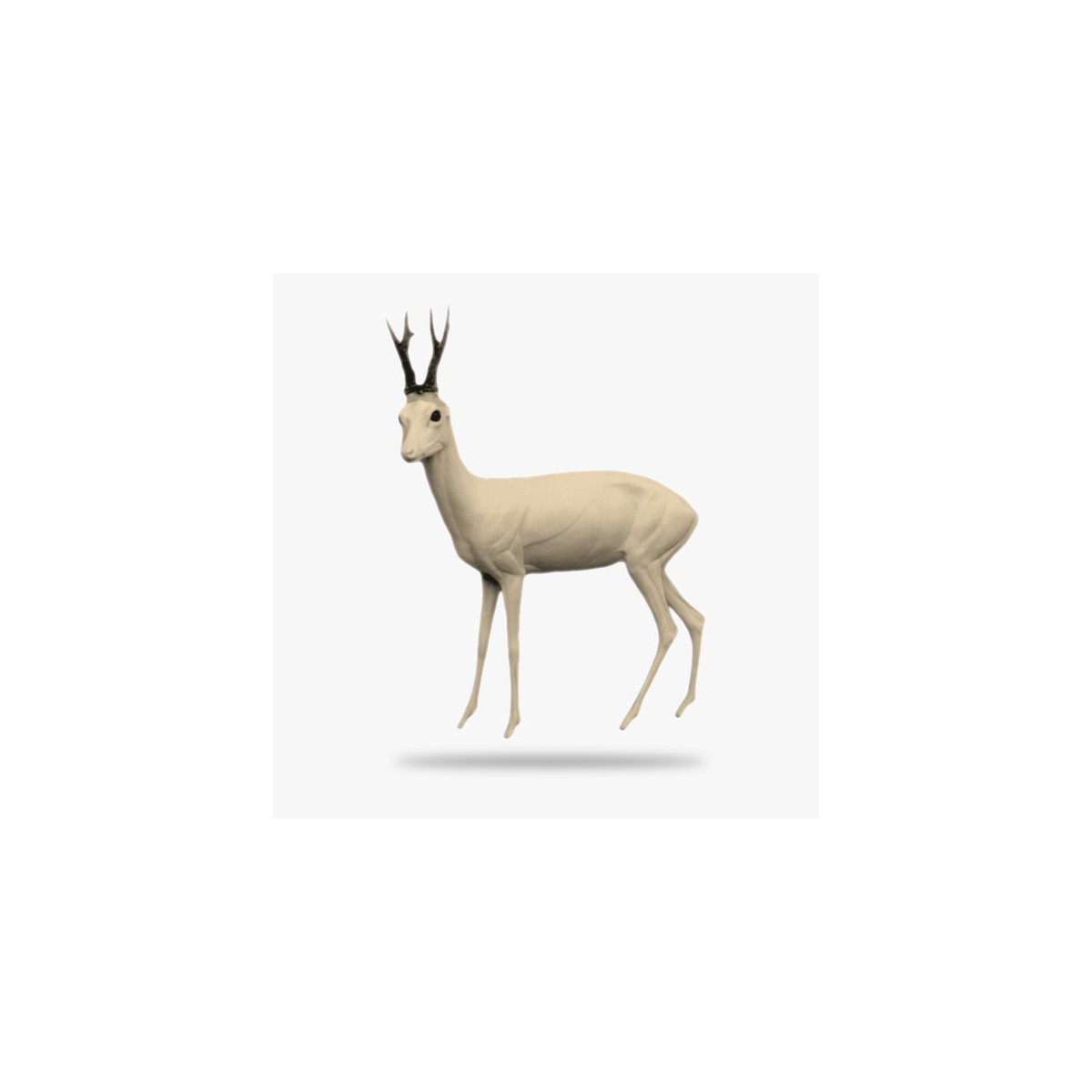 G-R3-L.gif_product