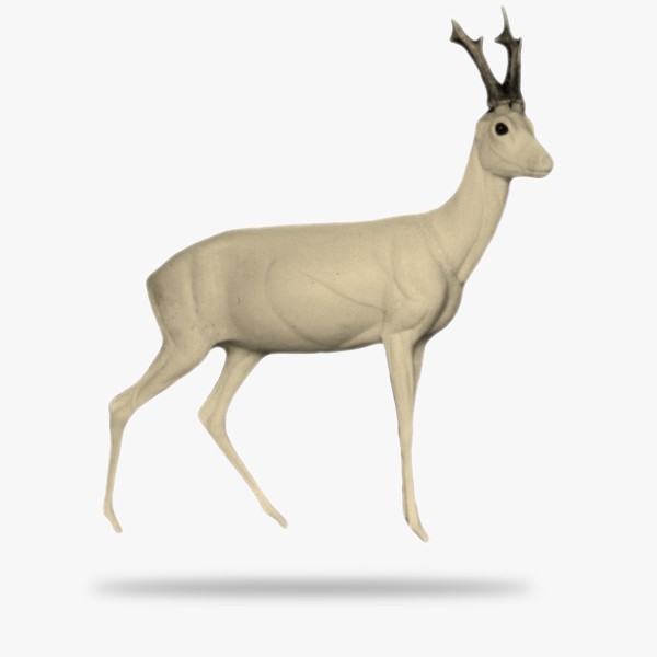 G-R5-R.gif_product