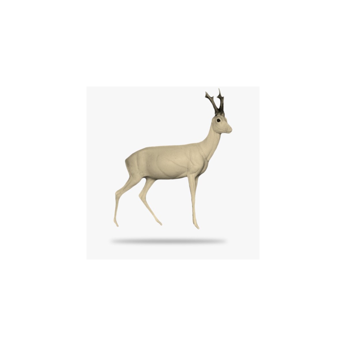 G-R5-R.gif_product