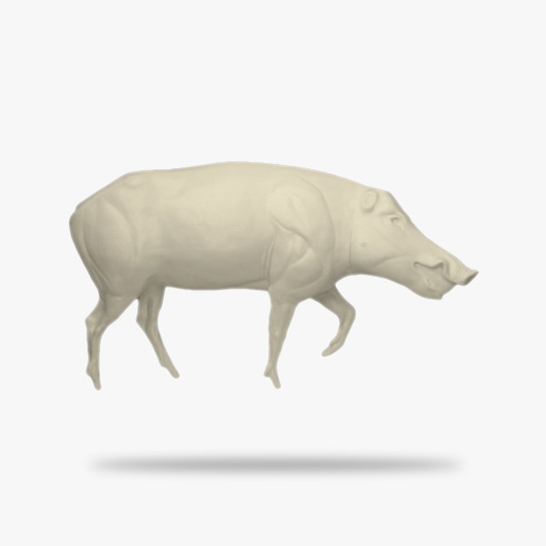 G-W4-R-O.gif_product