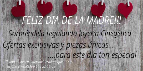 DIA DE LA MADRE